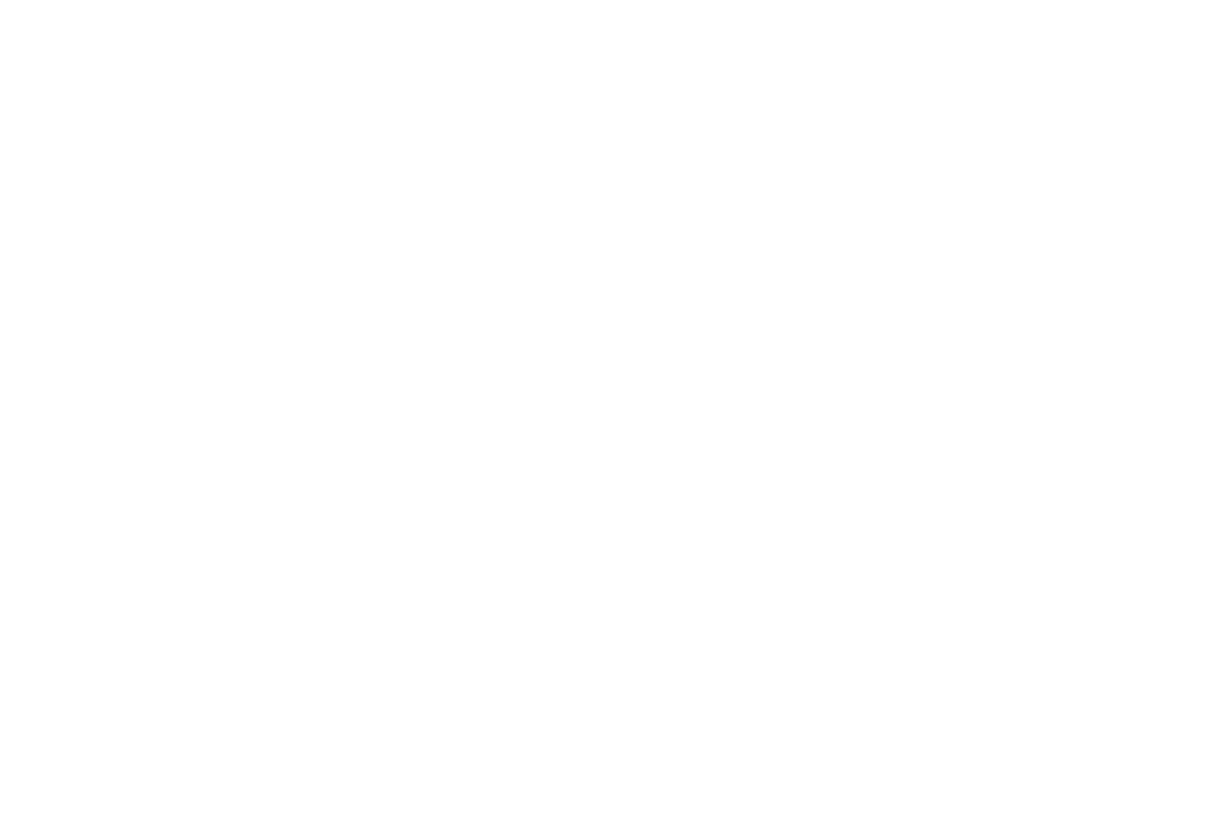 ppi_play_it_forward-logo_2_white